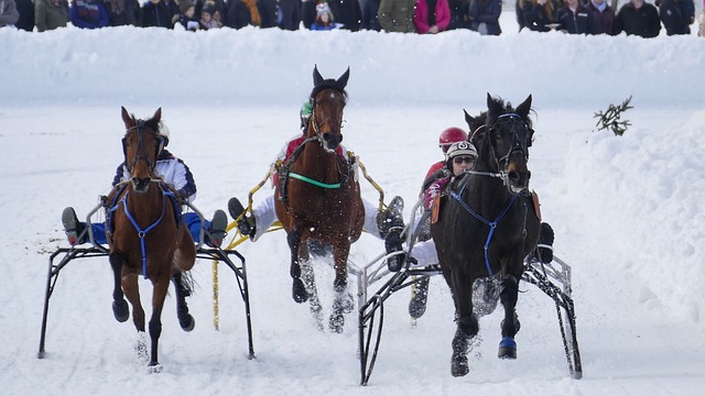 从财务角度 从财务角度
