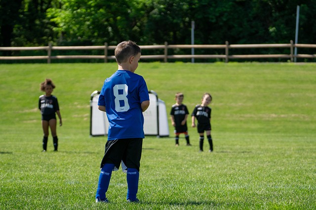 火箭湖人西部卡位战引爆悬念：格林单挑三巨头，胜负天平仅差2%！.