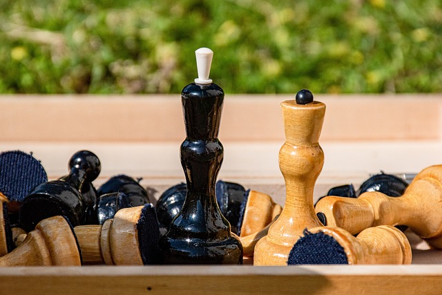 德约科维奇谈崛起卡：网球新星及.