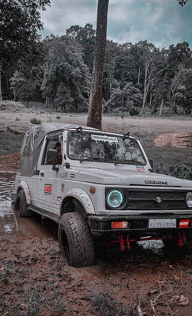 爆冷还是实 爆冷还是实